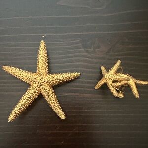 Gold Starfish Brooch and earring ser